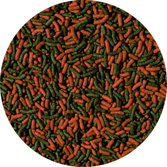 Cichlid Red & Green Medium Sticks - Lösvikt