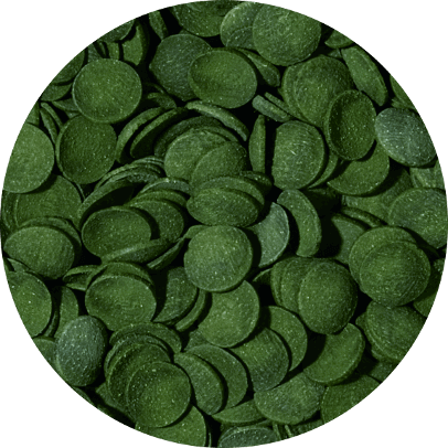 Green algae wafers - Lösvikt