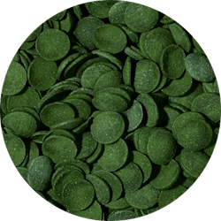 Green algae wafers - Lösvikt