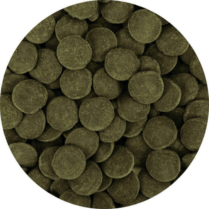 Hi-Algae Discs XXL 250 ml B