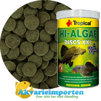 Hi-Algae Discs XXL 1000 ml A