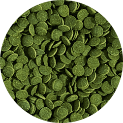 Mini wafers spirulina 6% - Lösvikt