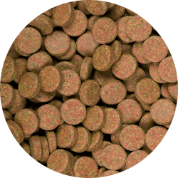 Supervit Tablets A - Lösvikt