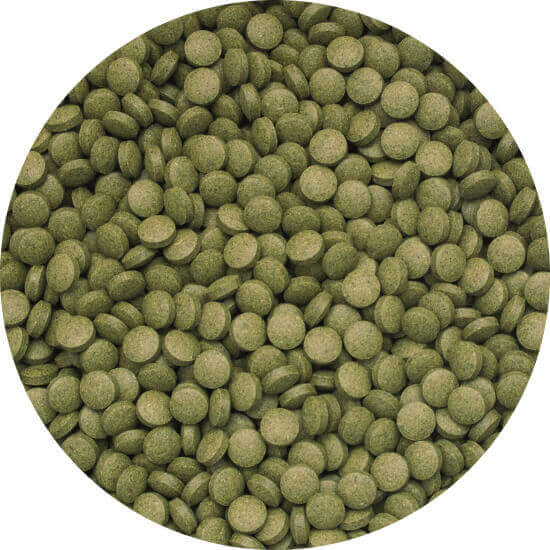 3-Algae Tablets B 250 ml B