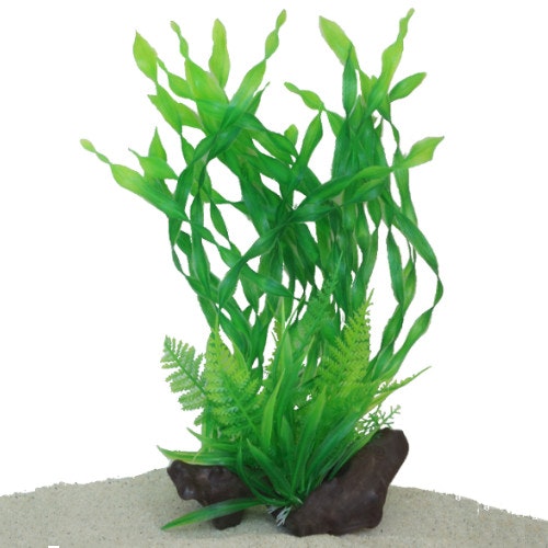 Plastväxt Vallisneria 30 cm