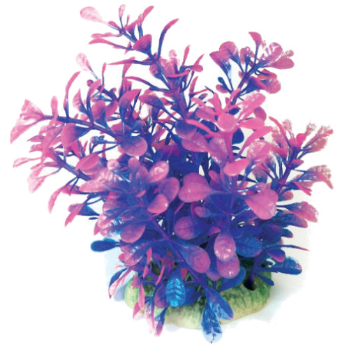Plastväxt Bacopa blå / rosa detaljer 13 cm