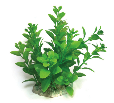 Plastväxt Bacopa grön 13 cm
