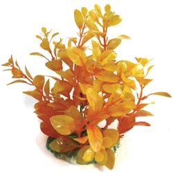 Plastväxt Bacopa orange 13 cm