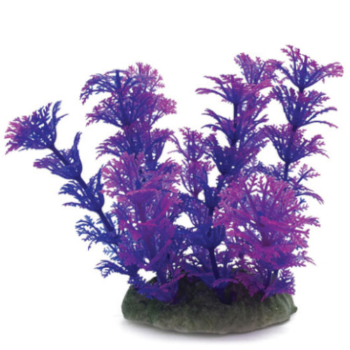 Plastväxt Cabomba blå / lila detaljer 10 cm