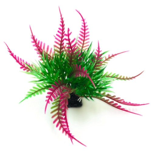 Plastväxter till akvarium Fern grön med lila detaljer 6 cm