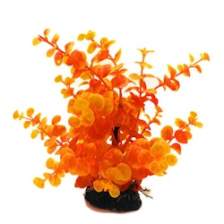 Plastväxt Limnobium orange 19 cm