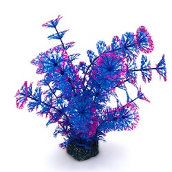 Plastväxt Cabomba blå/lila med pink topp 19 cm