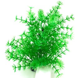 Plastväxt Hottonia grön 19 cm