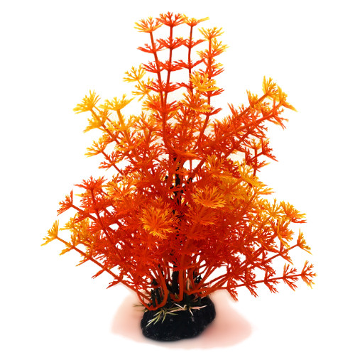 Plastväxt Hottonia orange 19 cm