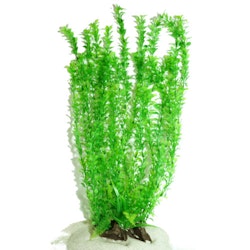 Plastväxt Rotala green 55 cm