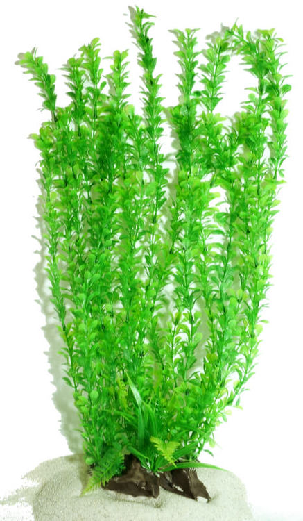 Plastväxt Rotala bonsai grön 40 cm A