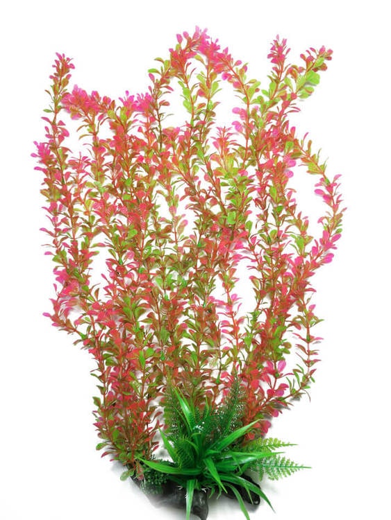 Plastväxt Rotala bonsai grön / rosa 40 cm A