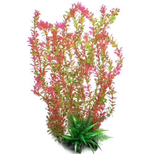 Plastväxt Rotala bonsai grön / rosa 40 cm