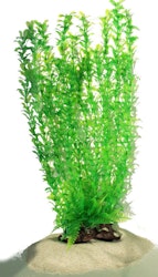 Plastväxt Shinnersia 40 cm