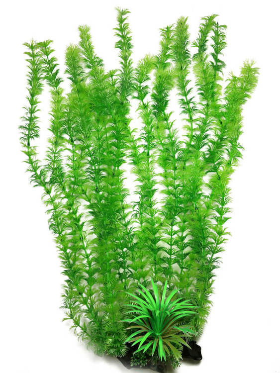 Plastväxt Cabomba green 55 cm B