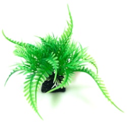 Plastväxt Fern 6 cm