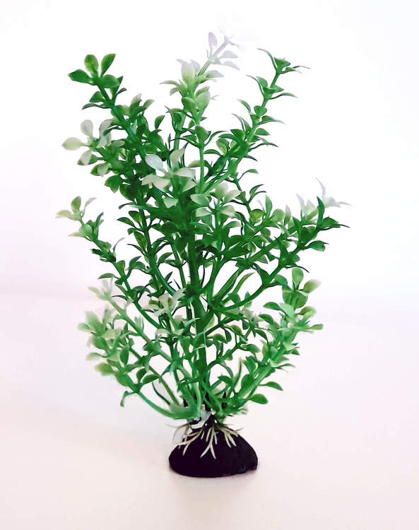 Plastväxt Bacopa grön / vita detaljer 18 cm