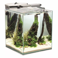 Aquael Fish & Shrimp Duo - 49L - Svart