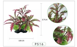 Plastväxt Pinnatifida red 17 cm