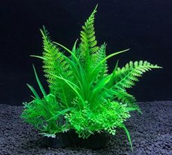 Plastväxt Fern 14 cm