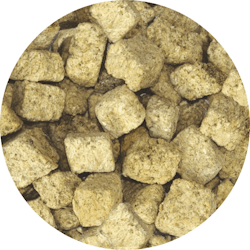 Frystorkad Artemia 100 ml