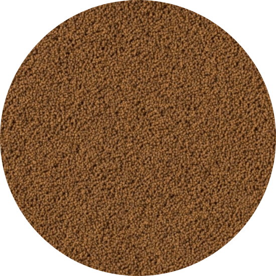 insect menu tropical fiskmat fiskfoder yngelfoder granulat pellets xxs