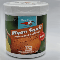 Shrimps Forever - Algae Snail