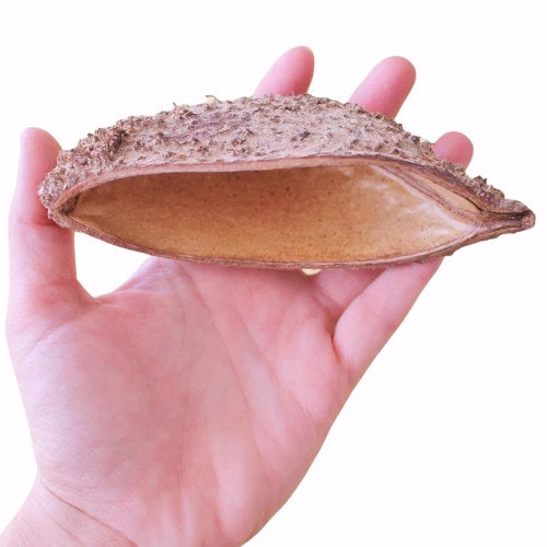 bolsa pod vattenkemi vattenberedning naturprodukter akvarium natur bolsa skal