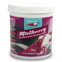 Shrimps Forever - Mulberry