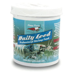 Shrimps Forever - Daily Feed