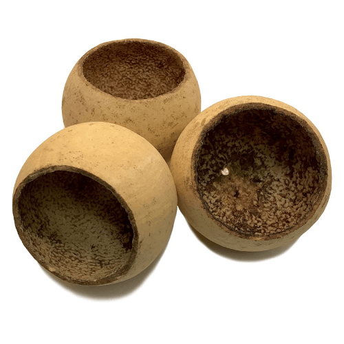 bellcup naturprodukt räkgrotta shrimps shrimpshelter akvariedekor dekoration akvarieprodukt bell cup frökapsel