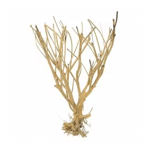 moss tree slim tree aquarium root mangroverot driftwood rötter akvarium akvarie naturdekor naturlig dekoration natur billig