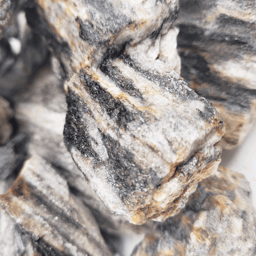 Nano sten - Grey Fossil wood rock - 8-15 st