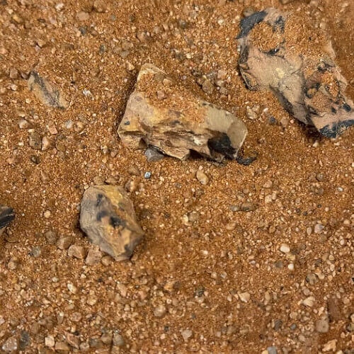 Golden Dragon Riverbed