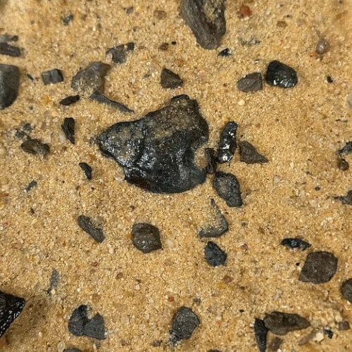 Elderly Riverbed