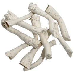 Driftcatus Cholla Wood - 5 st