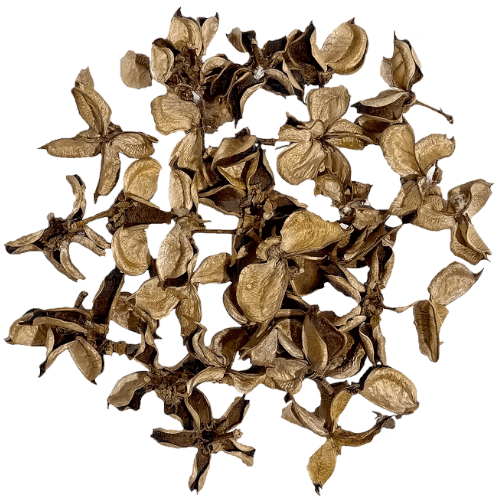 Cotton pod - 30g