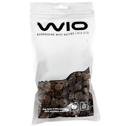 Små Casuarina pod - 100g