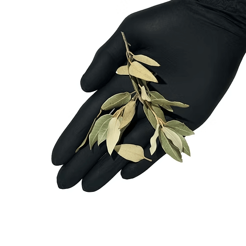 Holm oak leaves - 20g