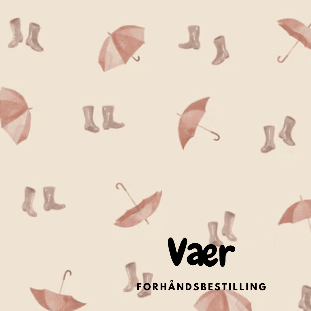 Vær - Minnasydd