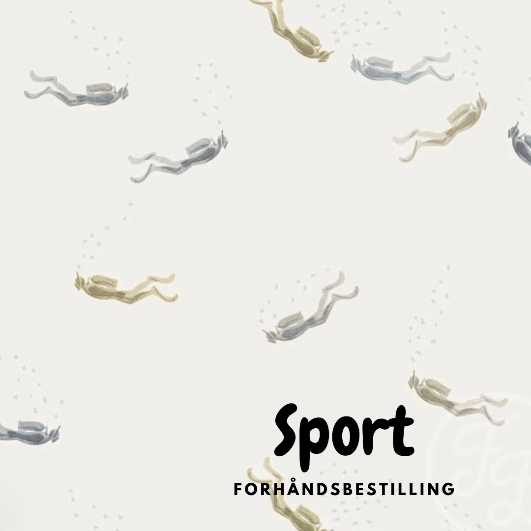 sport - Minnasydd