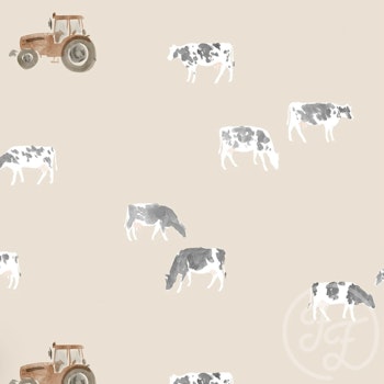 Jersey cows og traktor sand bakgrunn