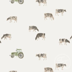 OD- Cows
