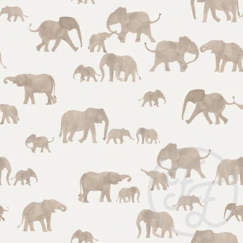 OD- Elephants Grey