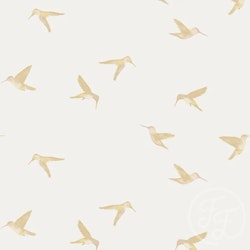 OD- Hummingbird